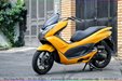 son-xe-may-pcx-vang.jpg