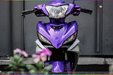 son-xe-may-exciter-tim-bac-3.jpg