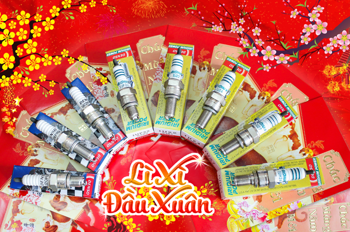 li-xi-dau-xuan.jpg