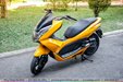 son-xe-may-pcx-vang-6.jpg